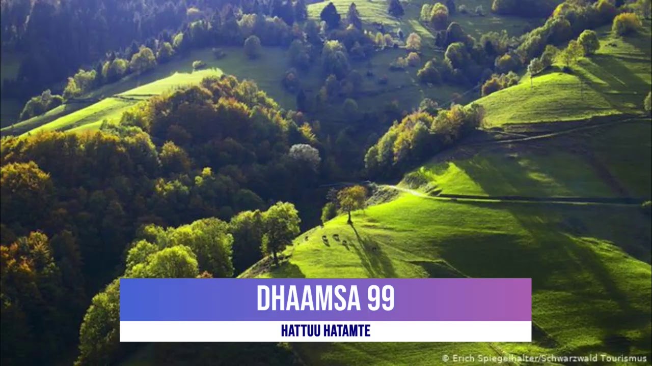 Dhaamsa 99 Httuu fi Imaam Maalik bin Diinaar