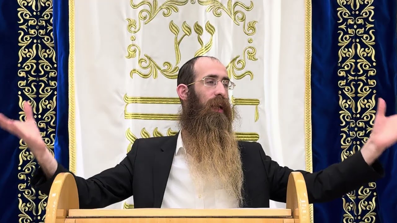 שמואל ב׳ פרק ח תפילת דויד להקב״ה | ביאור מהרב לוי פלדמן 
