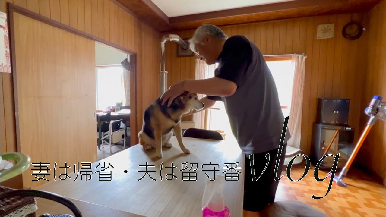 妻は大阪帰省 本町の美々卯でうどんすき/夫は悪戦苦闘 犬猫の世話と掃除と晩御飯『vlog北海道・道東の暮らし』Life in Hokkaido, Japan