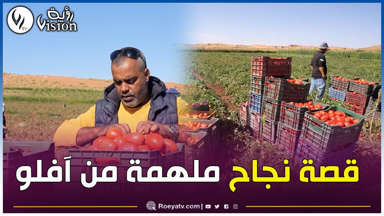 شاهد..فلاح من أفلو..من إنتاج 