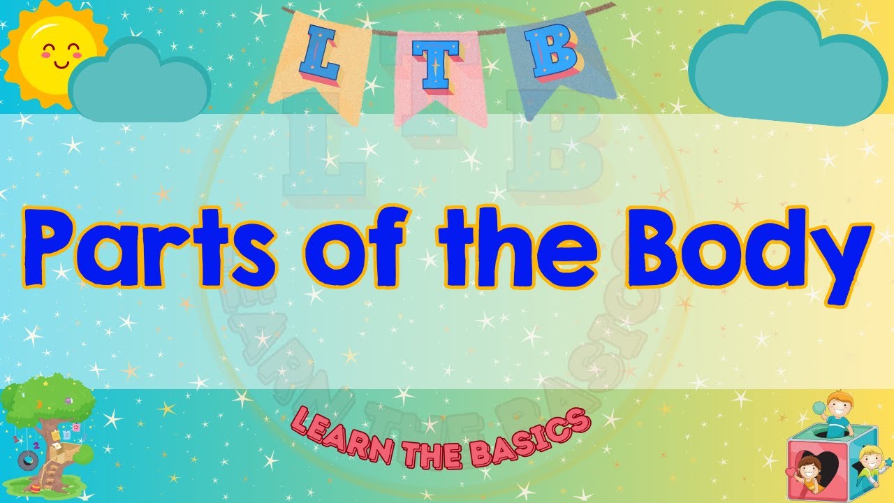 Parts of the Body for Kindergarten Learn with Ms. Michelle