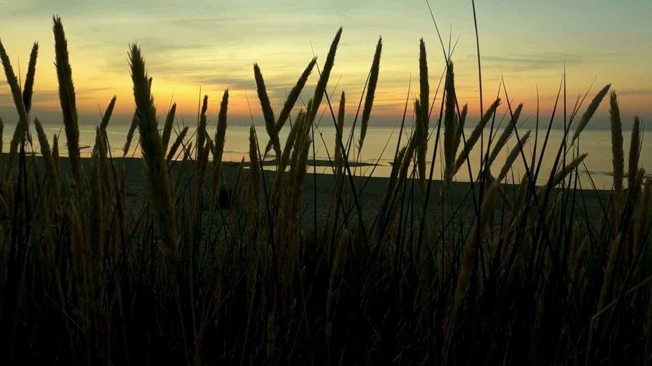 Immersive Gentle Ocean Waves Sound, Good for Relaxing.