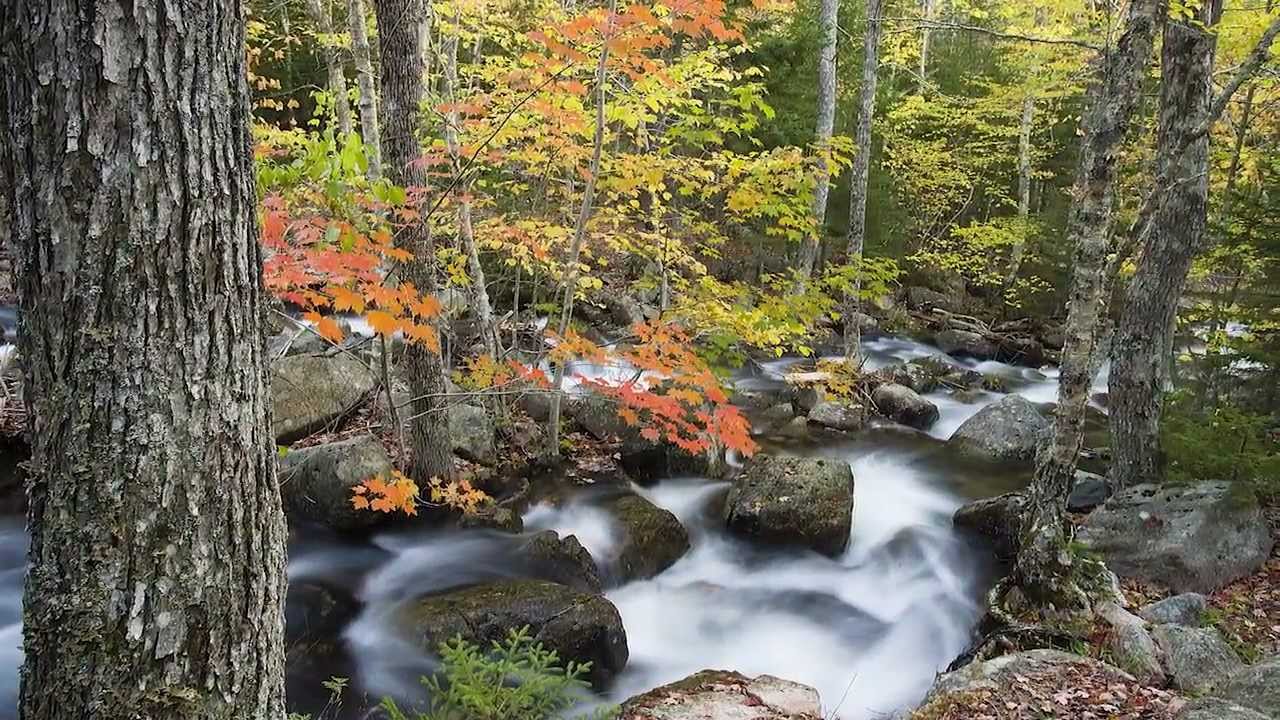Outdoor Photo Tips with Jerry Monkman - Week 8 - Shoot Sharp