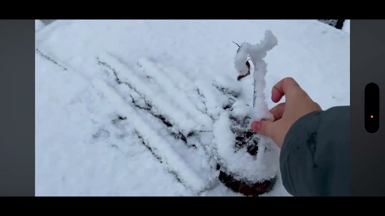 Reacting to “Snowy Morning 1-18-26”