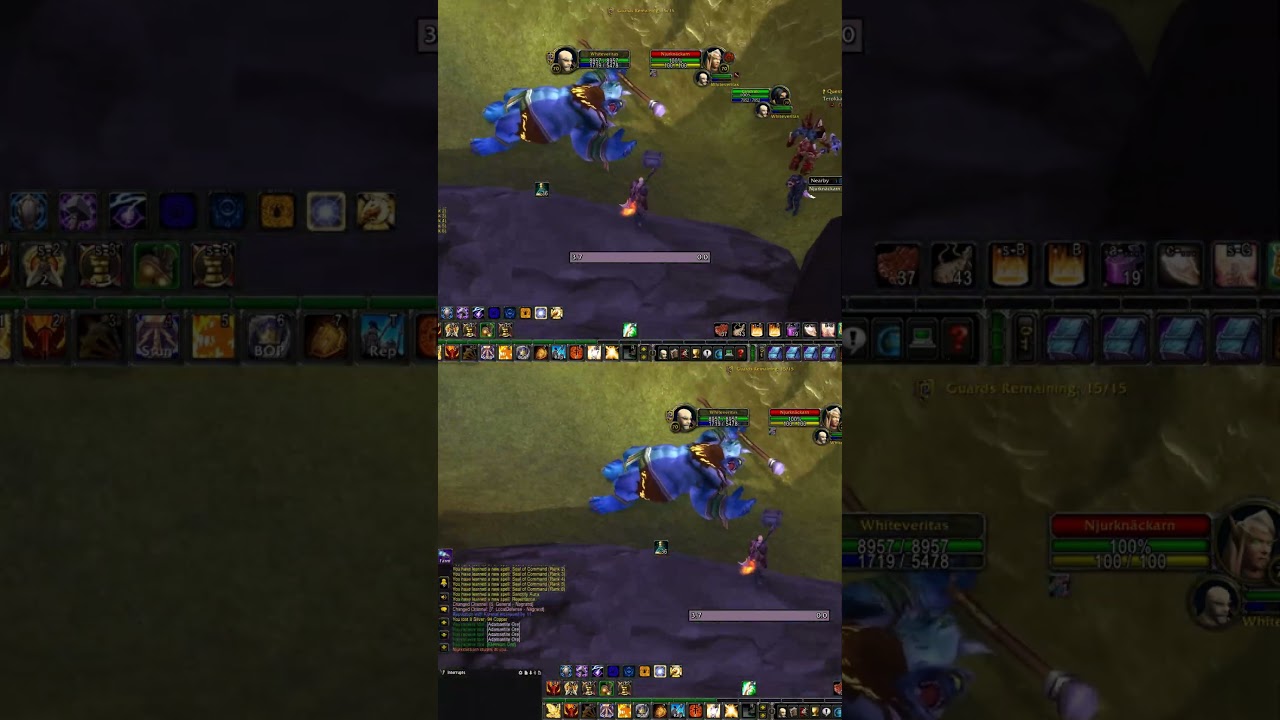 Do you believe it? #worldofwarcraft #wow #tbc #burningcrusade #classic #pvp #paladin #gaming #shorts