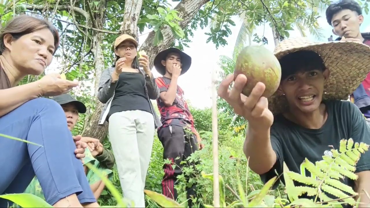 Welcome to my YouTube channel  by the way nag harvest  me ug avocado sa among farm guys