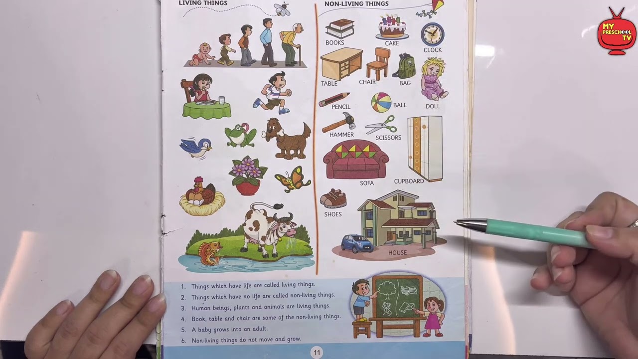 Living Things And Non Living Things For Kids | Difference Between Living Things & Non Living Things