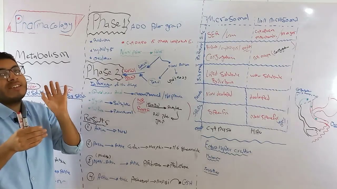 pharma metabolism 1