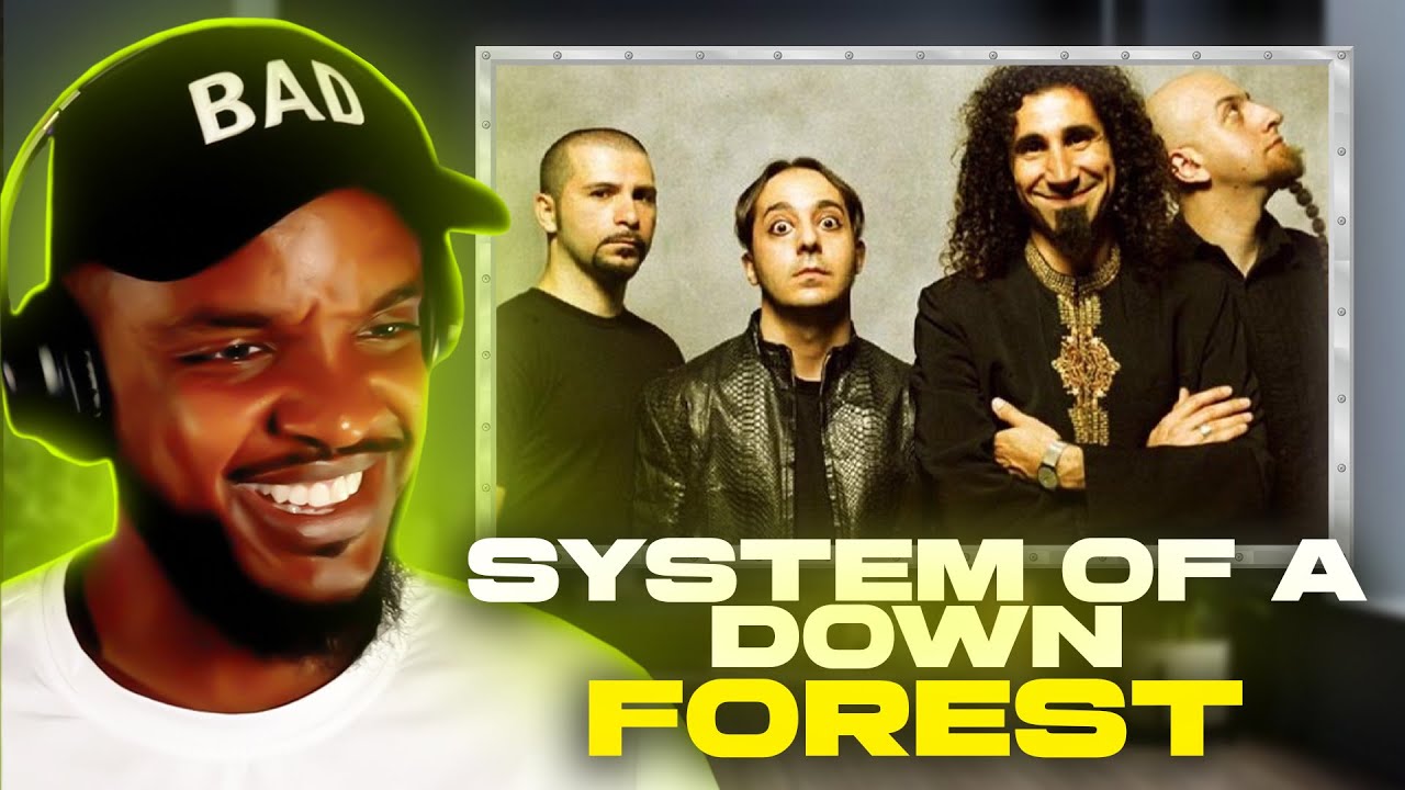 🎵 System of a Down - Forest REACTION