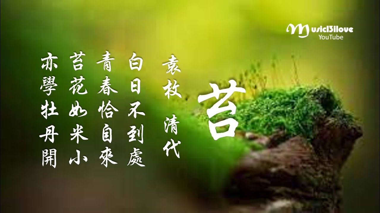 《苔》袁枚 (清代）苔花如米小  亦學牡丹開... &hearts; ♫&bull;*&bull;