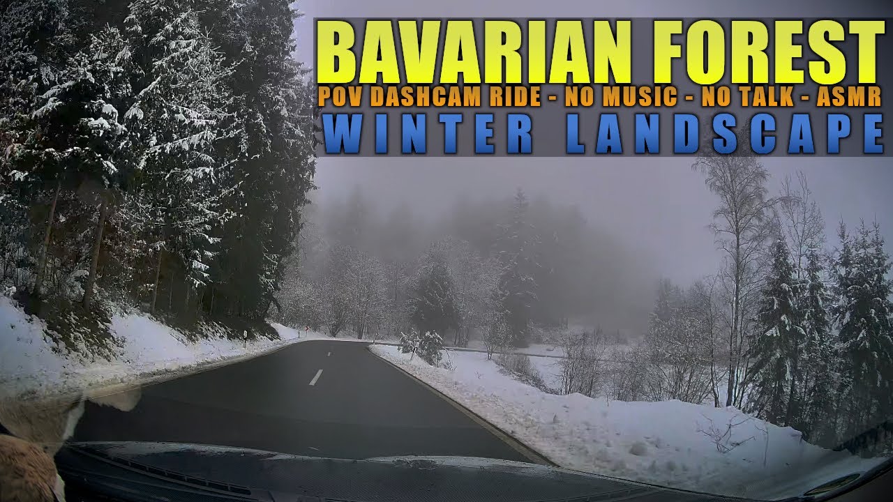 POV Bavarian Forest | German Roads | ASMR | DASHCAM RIDE