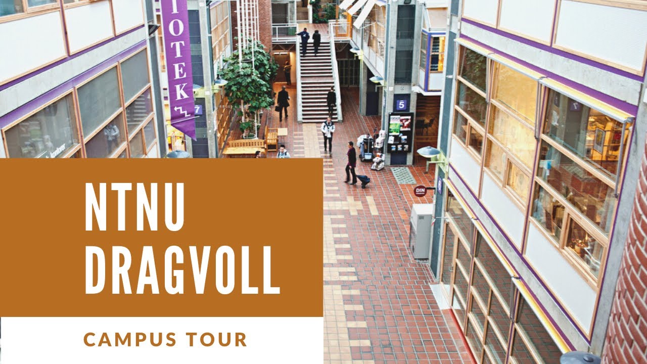 NTNU Dragvoll campus tour 2020/ Xem trường m&igrave;nh học như thế n&agrave;o?