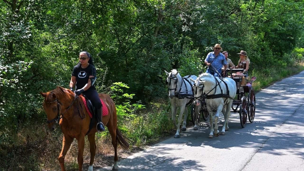 Despre Parcul Natural Lunca Mureșului la pasul cailor / România văzută din tractor