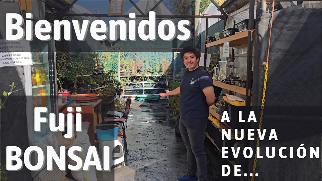 Bienvenidos al Nuevo Fuji Bonsai y déjate sorprender