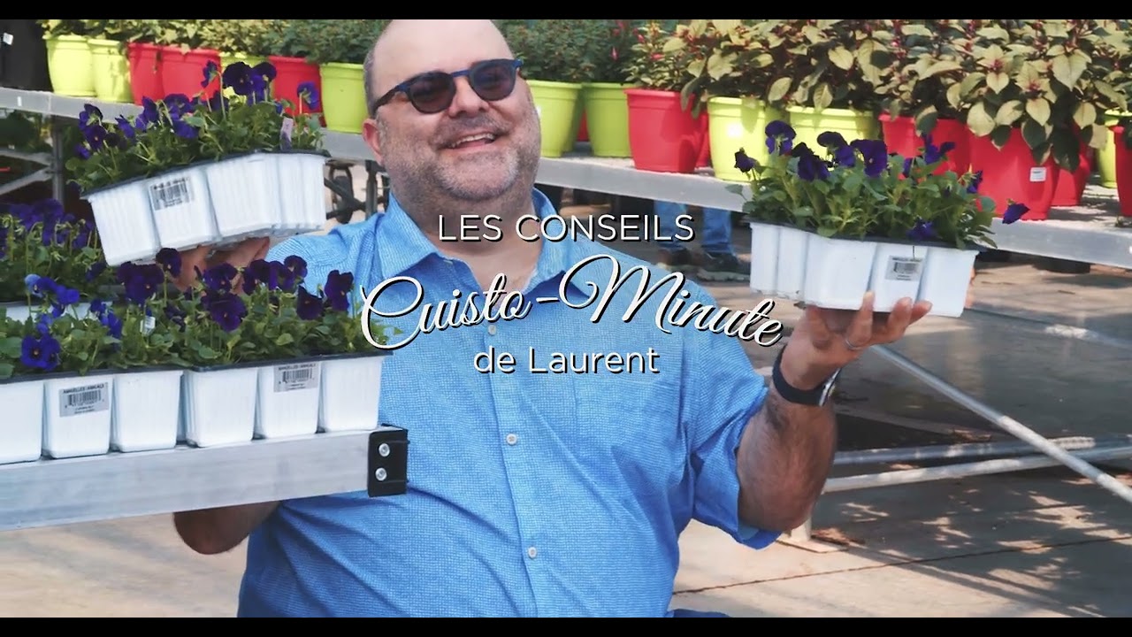 Les Caprices de Laurent - Soupe à l'oignon et larmes