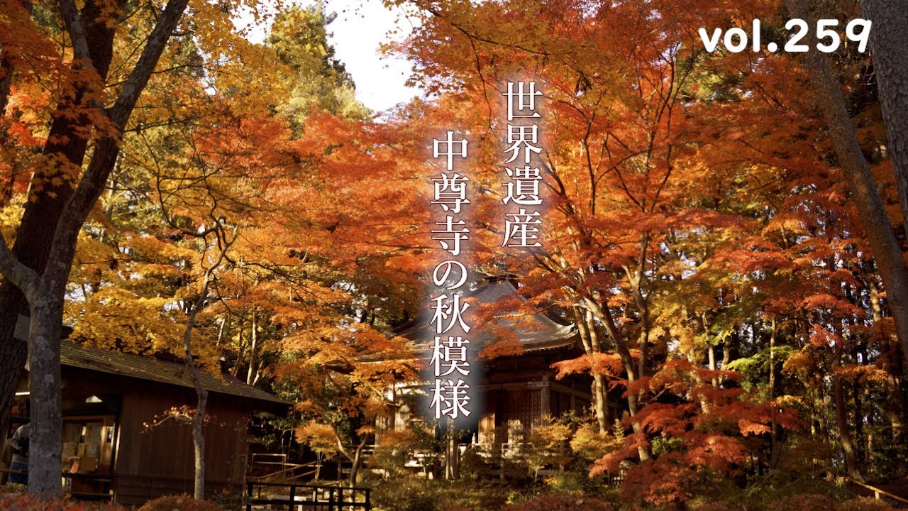 【2024東北紅葉ハンター】世界遺産 平泉 中尊寺の秋模様【2024.11.16撮影】