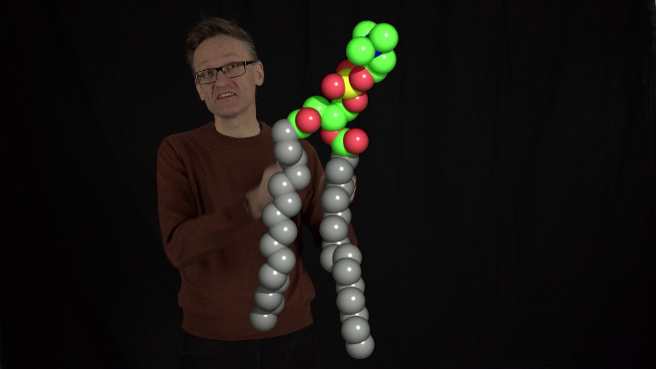 Concept 02: Amino acid preferences for different parts of lipids