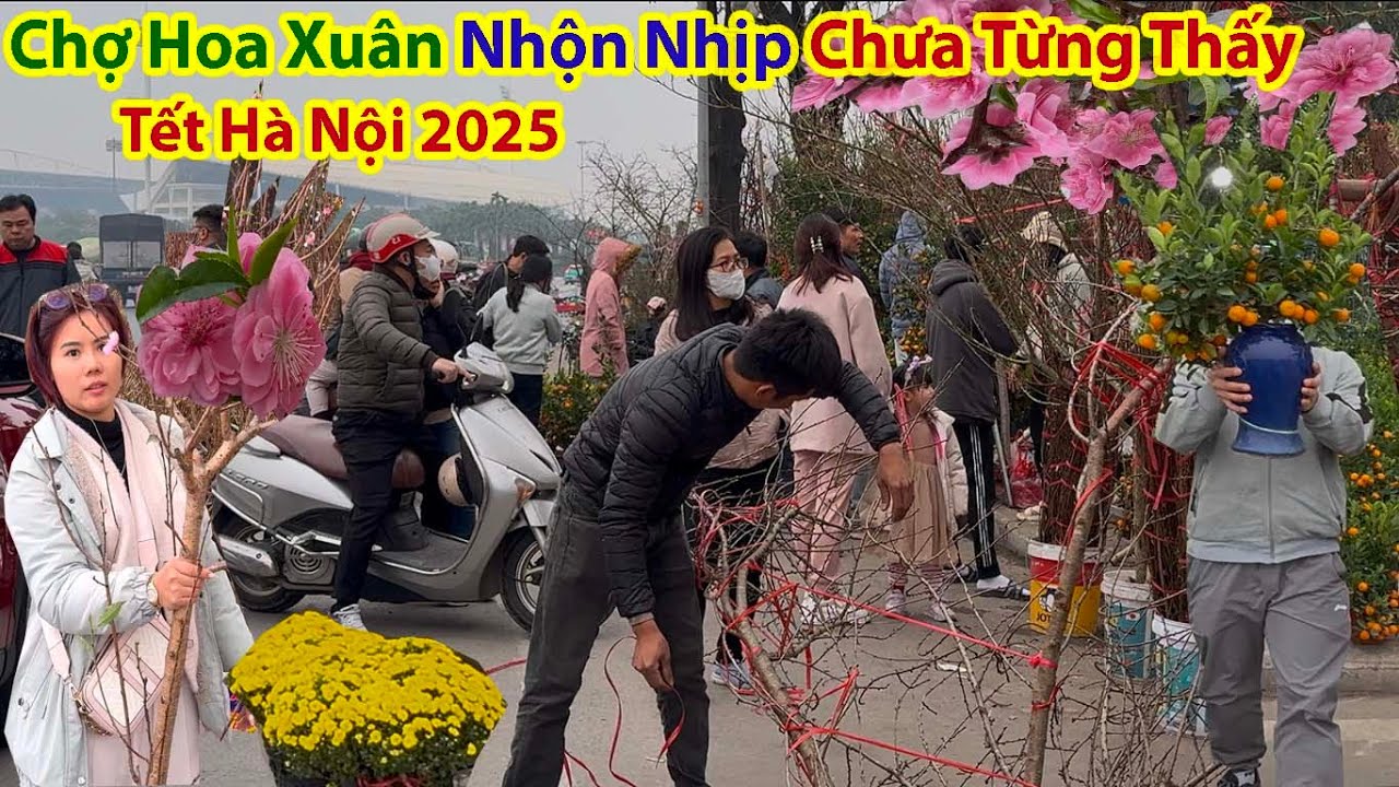 Tết Hà Nội 2025 - Không Khí Nhộn Nhịp Chưa Từng Thấy Chợ Hoa Xuân Mỹ Đình