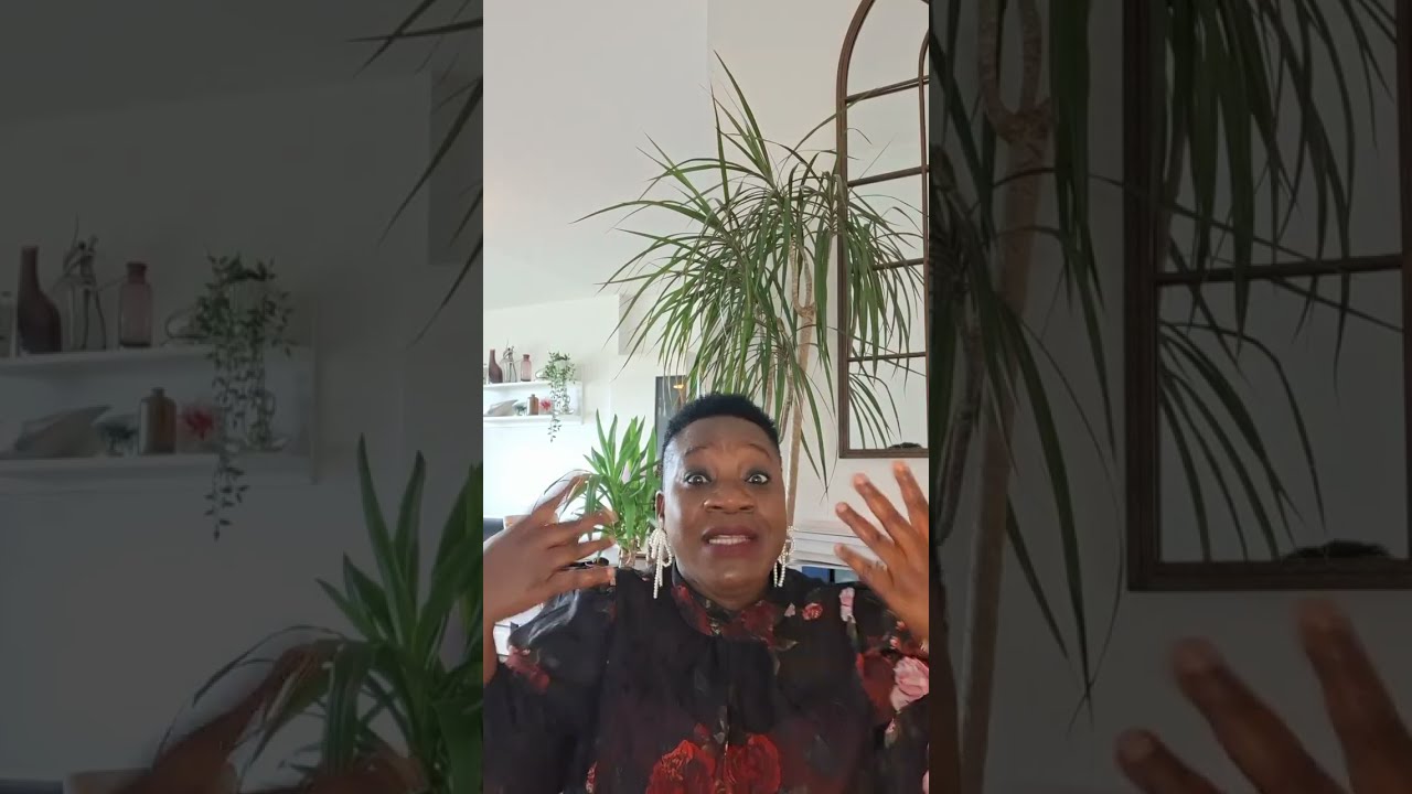 TON CŒUR BAT POUR UN MISÉRABLE ET UN TUEUR DE DESTINÉE 