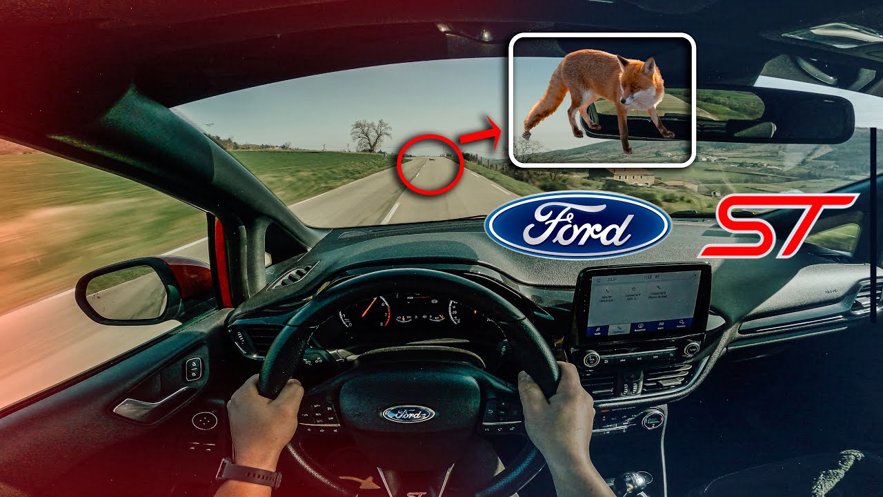 FIESTA ST | 230 HP | 4K