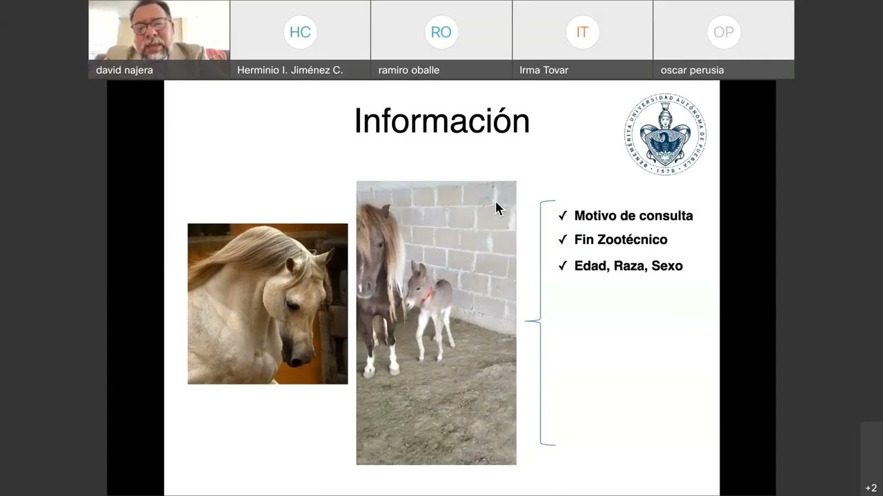 Diagnóstico de claudicaciones paso a paso