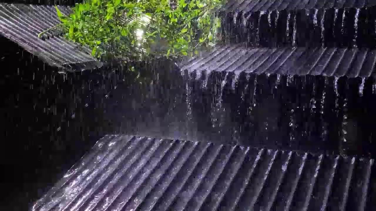 Peaceful Night Ambience | Heavy Rain & Thunder on Metal Roof