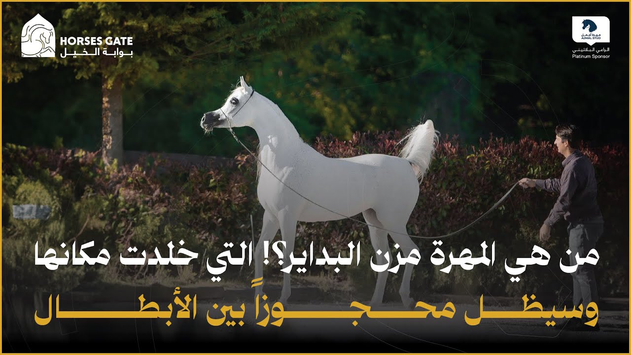 من هي المهرة مزن البداير؟! التي خلدت مكانها وسيظل محجوزا بين الأبطال