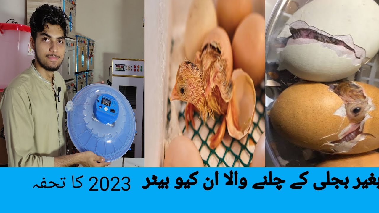 total 12 volt incubator  2023 k gift /25 eggs fully automatic  machine / result  95% InshAllah