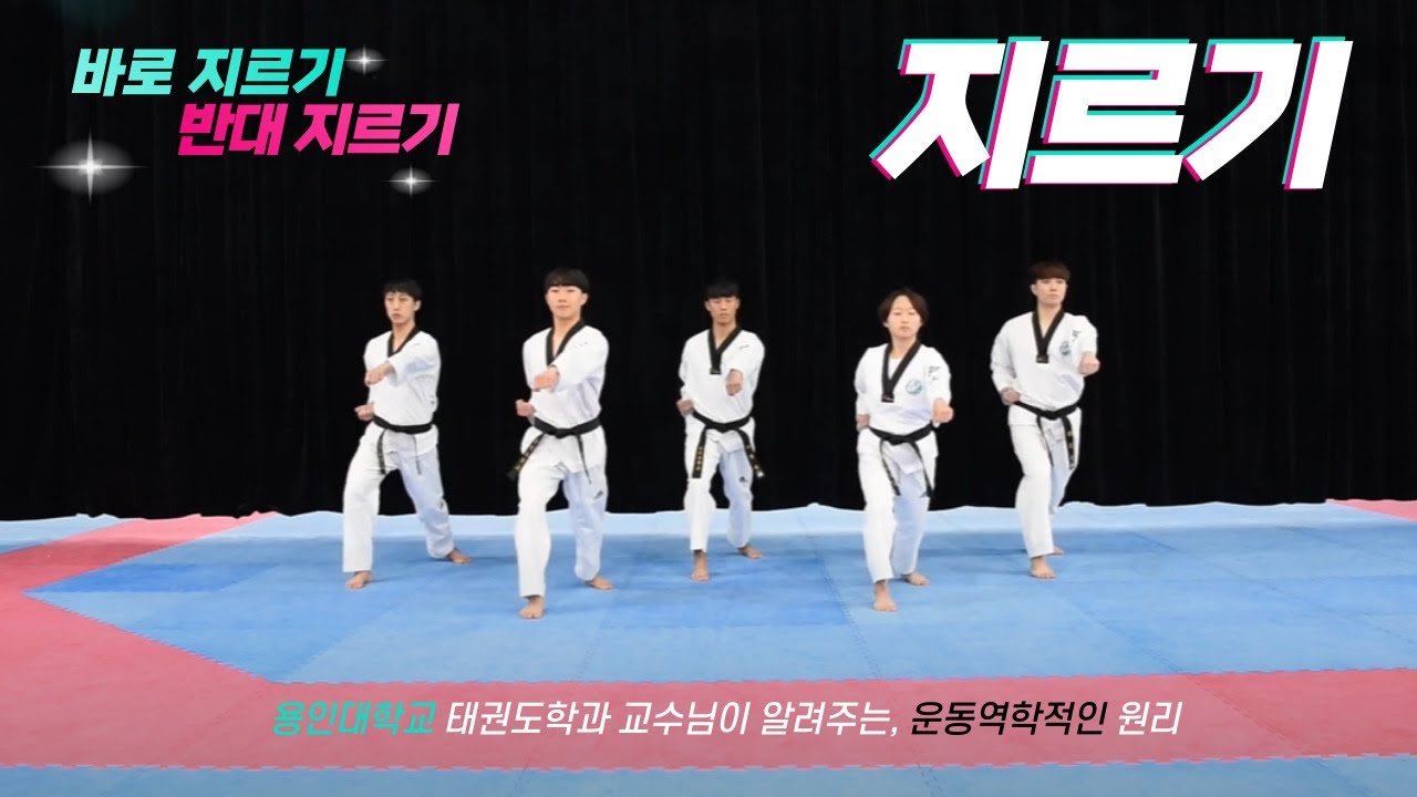 TaeKwon Channel[punching/지르기] 용인대학교 태권도학과 교수님이 알려주는 바로 지르기, 반대 지르기 원리