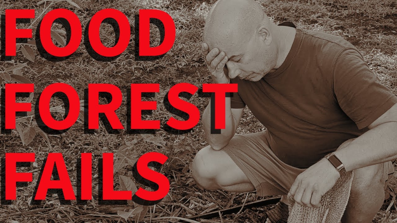 5 MISTAKES to Avoid in your Florida garden