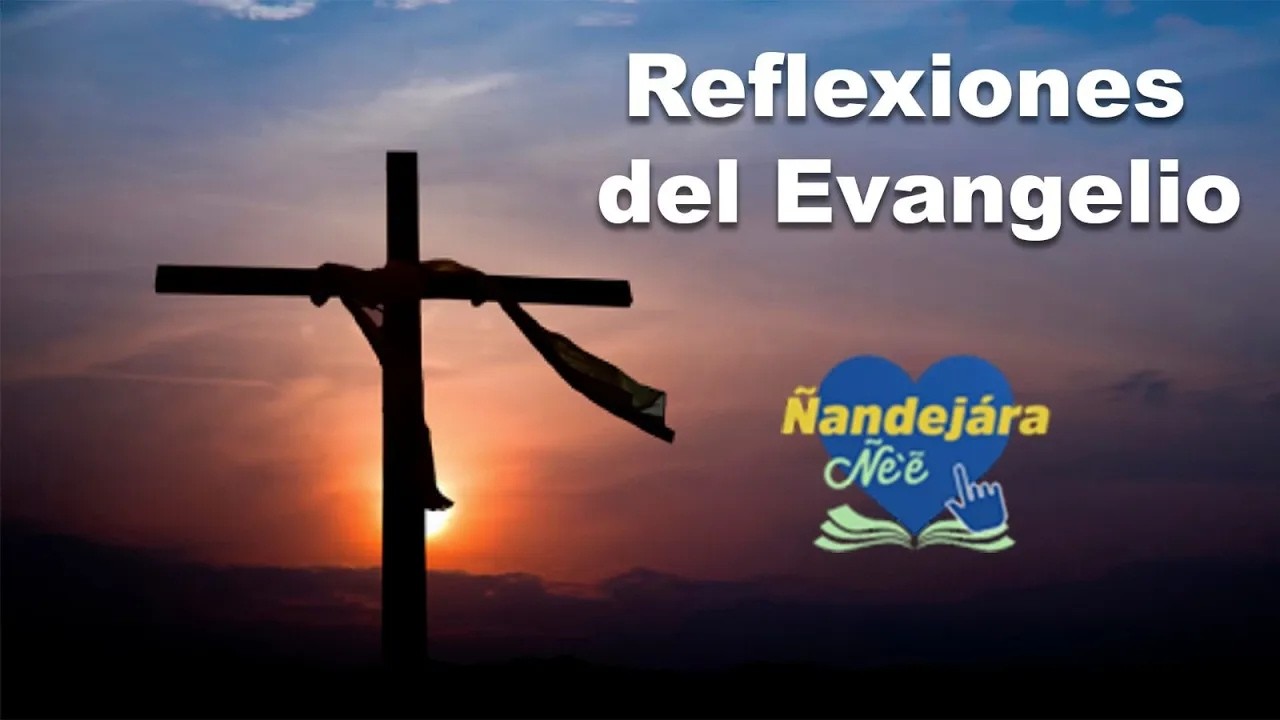 Homilía | Domingo, 15 de Febrero del 2026