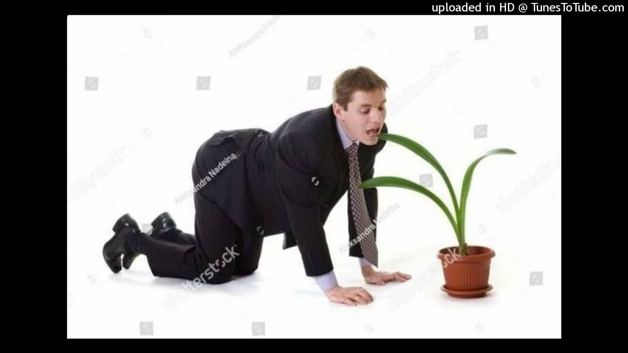 free thrillboy + autumn + summrs + pluggnb type beat