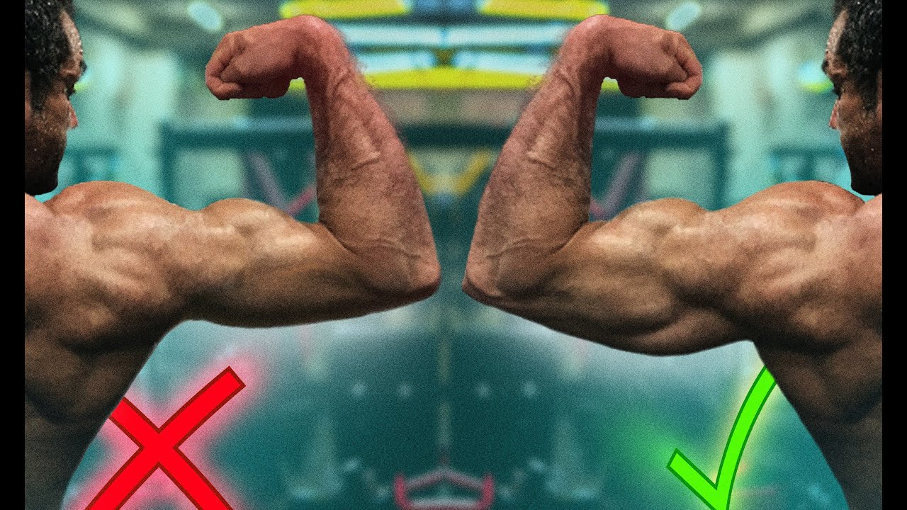 POURQUOI VOS TRICEPS NE GROSSISSENT PAS ? 6 RAISONS  ( + BETISIER)