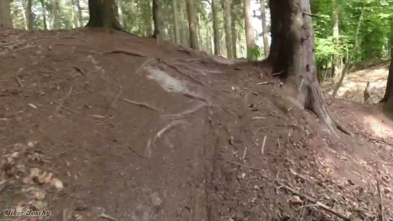 Jägermeister Trail kleiner Einblick 🚴 MTB Trail im Deister
