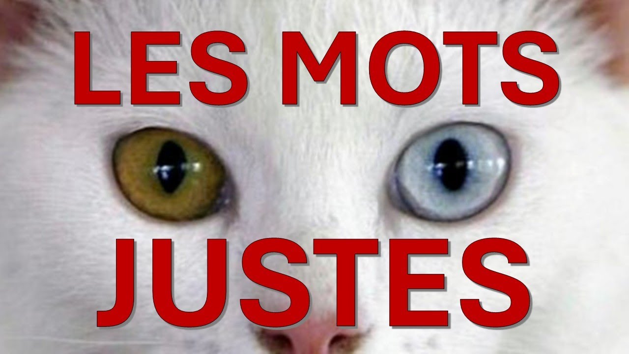 Outil de négociation - Les mots justes