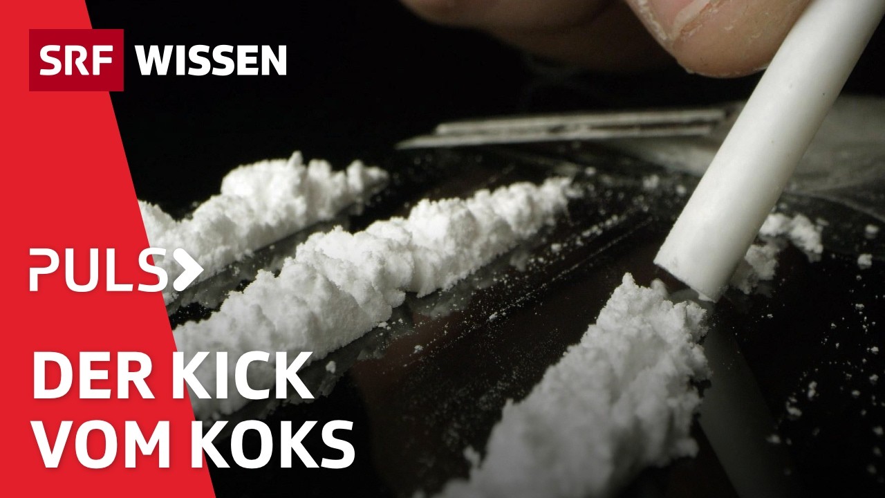 Kokain: Partydroge und Aufputschmittel mit Risiko für Sucht und Ruin | Puls | SRF Wissen