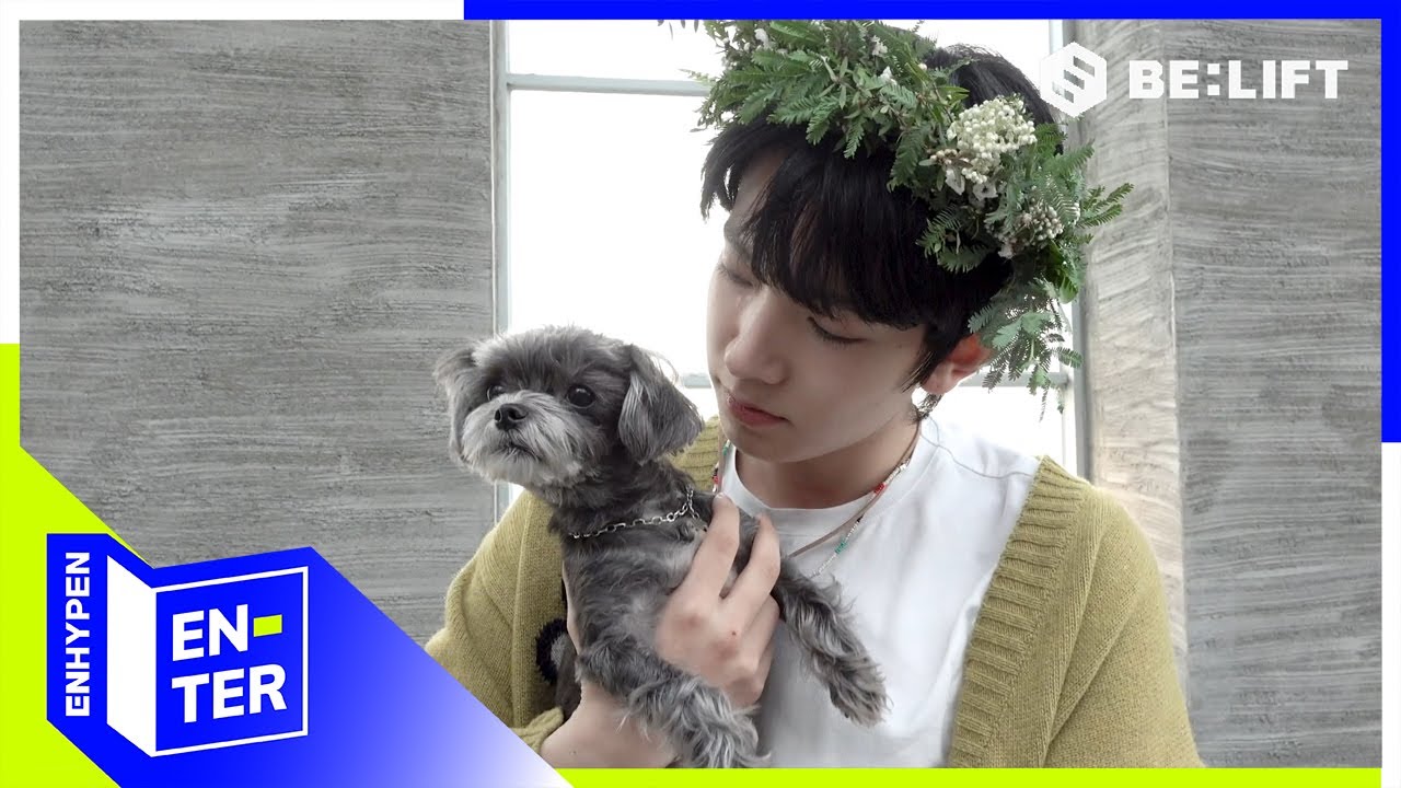 [EN-TER key] Playing with Puppies -ENHYPEN (엔하이픈) (ENG/JPN)
