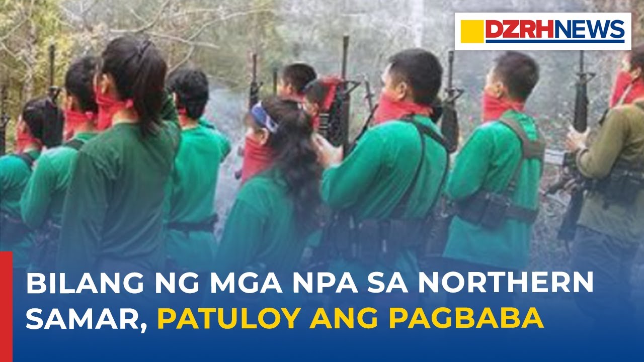 Bilang ng mga NPA sa Northern Samar, patuloy ang pagbaba
