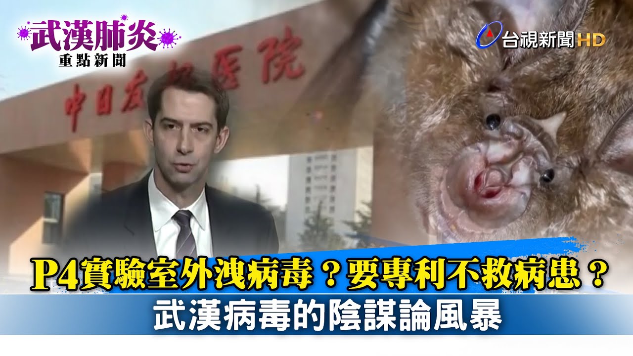 P4實驗室外洩病毒？要專利不救病患？武漢肺炎病毒的陰謀論風暴【武漢肺炎重點新聞】