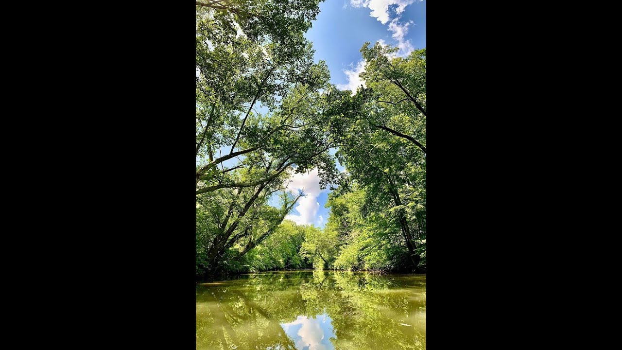 Red Eye Bass on small Kentucky Creek