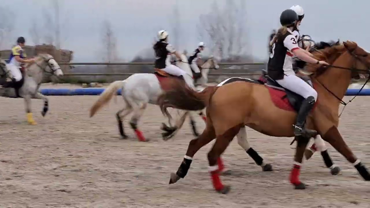 Cadet shetland vs roumois 14 décembre 2025
