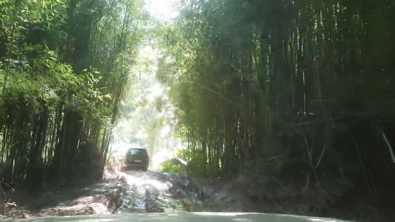 expedi&ccedil;&atilde;o 4x4 #joanopolis para #monteverde