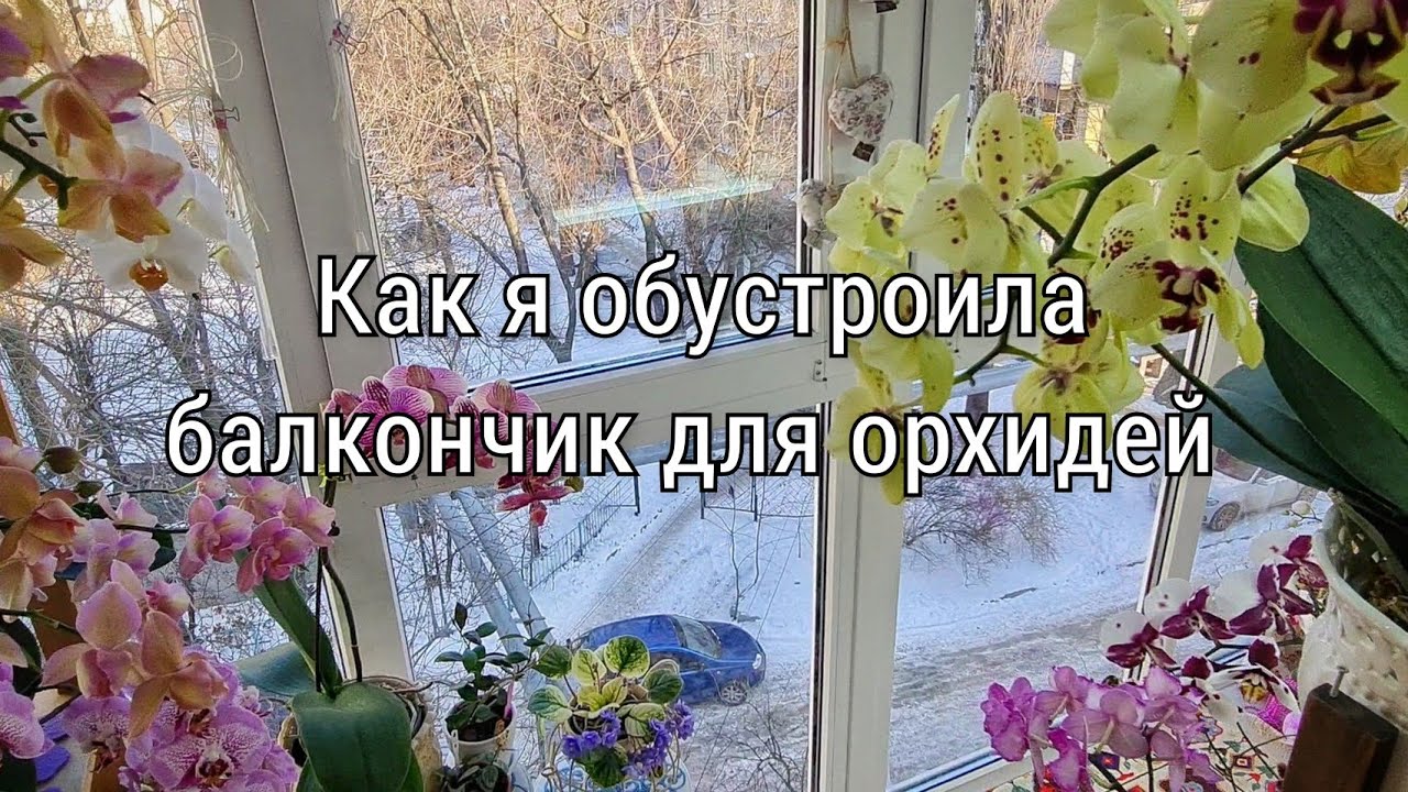 Как я обустроила свой балкончик для содержания орхидей. Цветочный балкон. Орхидеи на балконе.