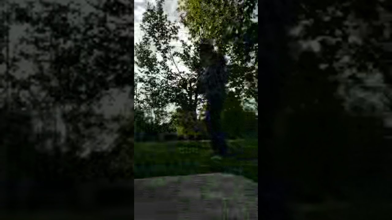 #spring #morning #dew #photonic #charge #oilmouthwash #taichi #qiqong #yoga #treeconnection