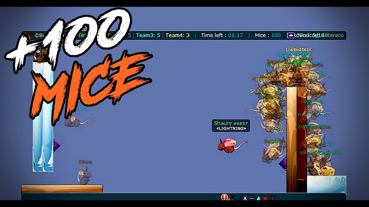Transformice - Brkrmn (+100 MICE) Racing Gameplay #136