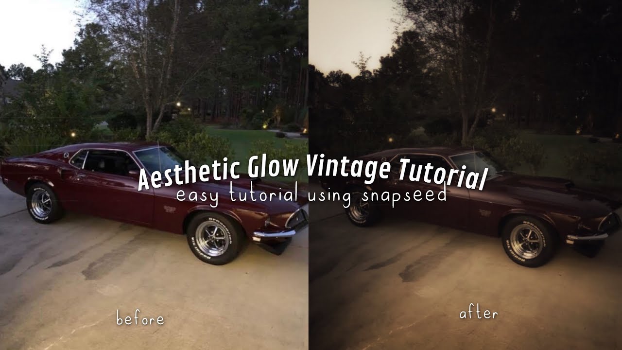 How to Edit Aesthetic Vintage Glow Photo in Snapseed | (Step-by-Step)