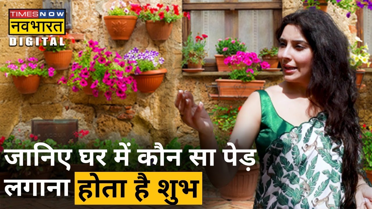Dr. Jai Madaan से जानिए घर में कौन सा पेड़ लगाना होता है शुभ| Daily Tips