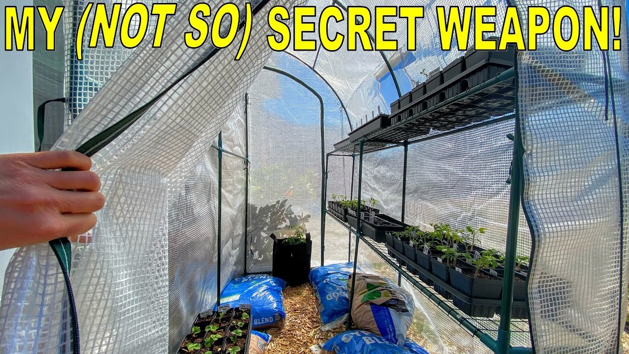 My SECRET WEAPON That's BETTER Than Grow Lights | Save Money And Time!