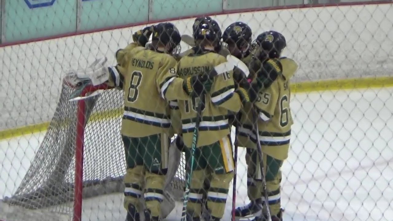 2026 03 09 GBNVgold vs YorkVwhite