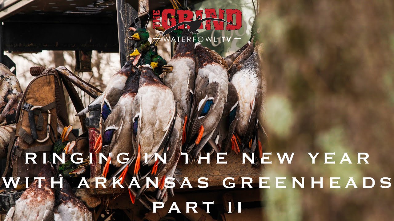 Ringing in the New Year with Arkansas Greenheads Part II | The Grind S10:E9